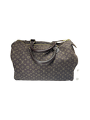 Louis Vuitton Canvas Brown Handbag