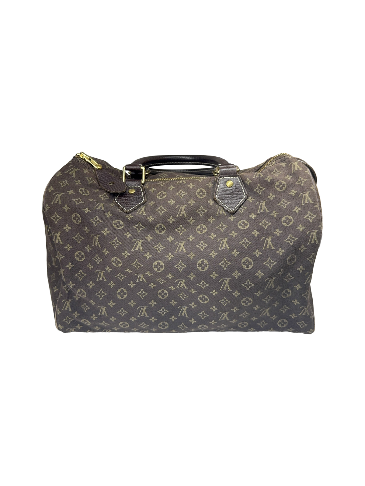 Louis Vuitton Canvas Brown Handbag