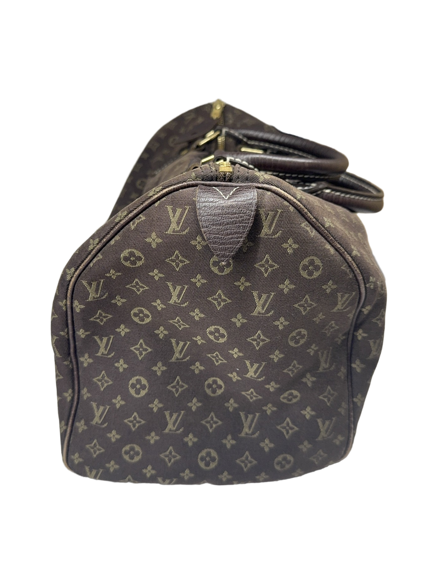 Louis Vuitton Canvas Brown Handbag