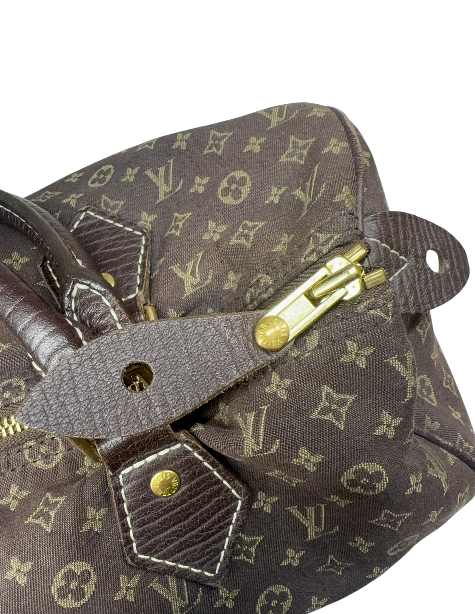 Louis Vuitton Canvas Brown Handbag