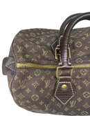 Louis Vuitton Canvas Brown Handbag