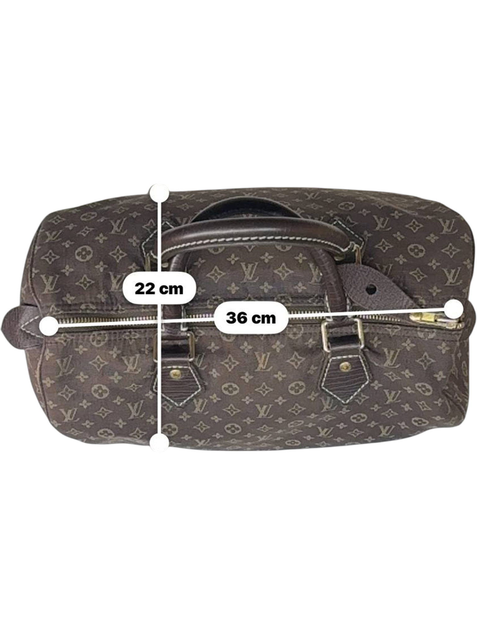 Louis Vuitton Canvas Brown Handbag