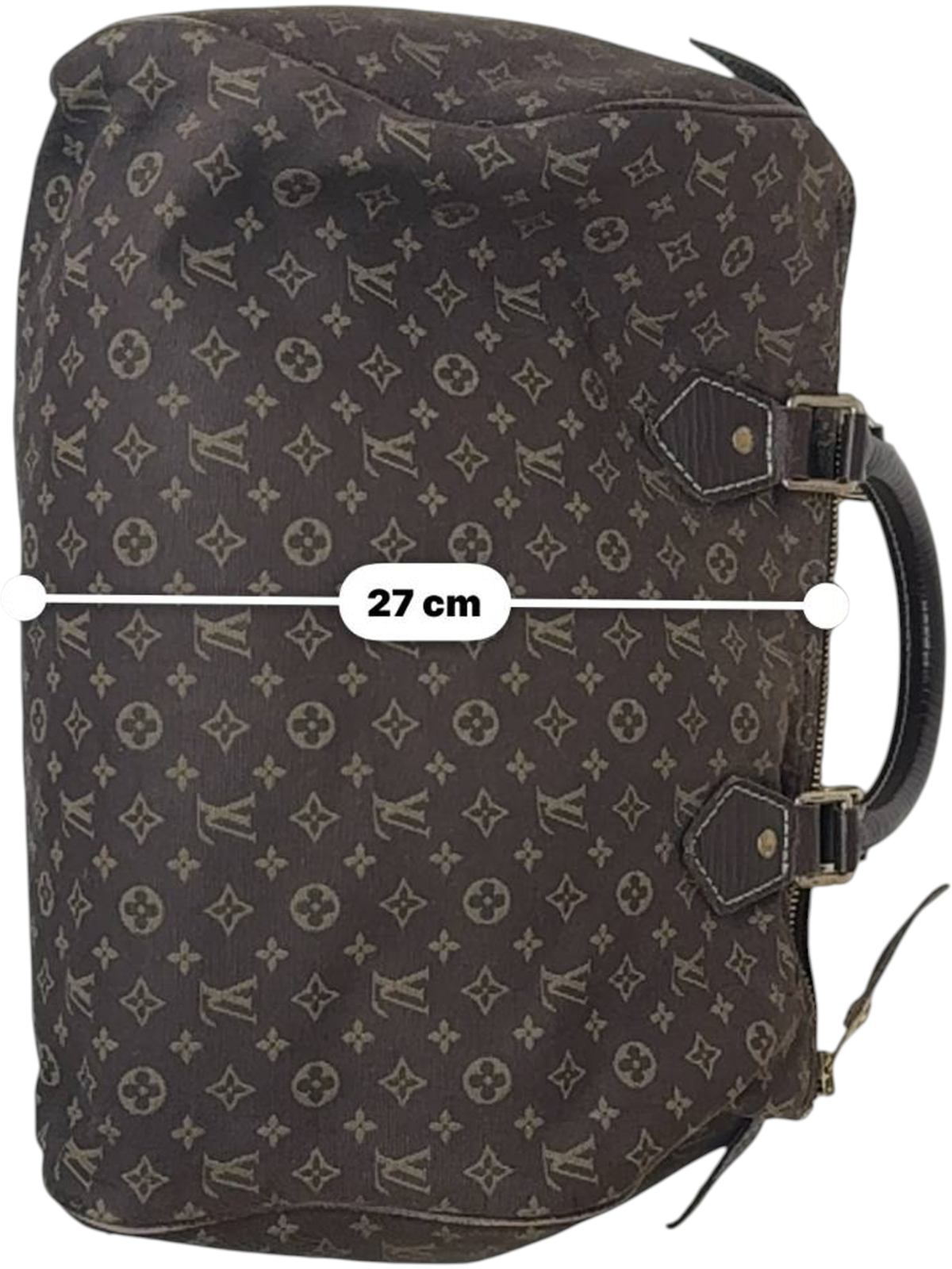 Louis Vuitton Canvas Brown Handbag