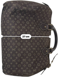 Sac à main Louis Vuitton Speedy