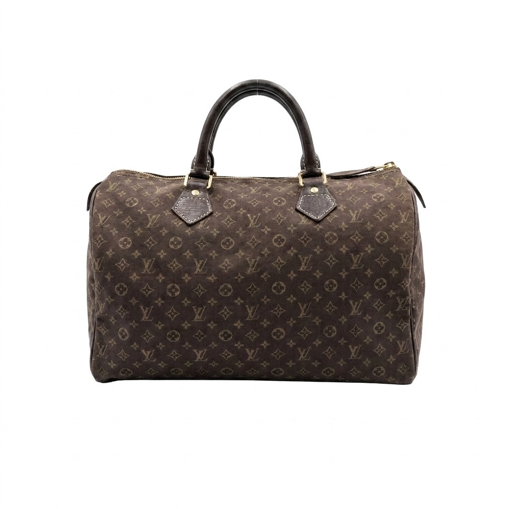Louis Vuitton Canvas Brown Handbag