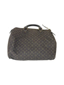 Louis Vuitton Canvas Brown Handbag