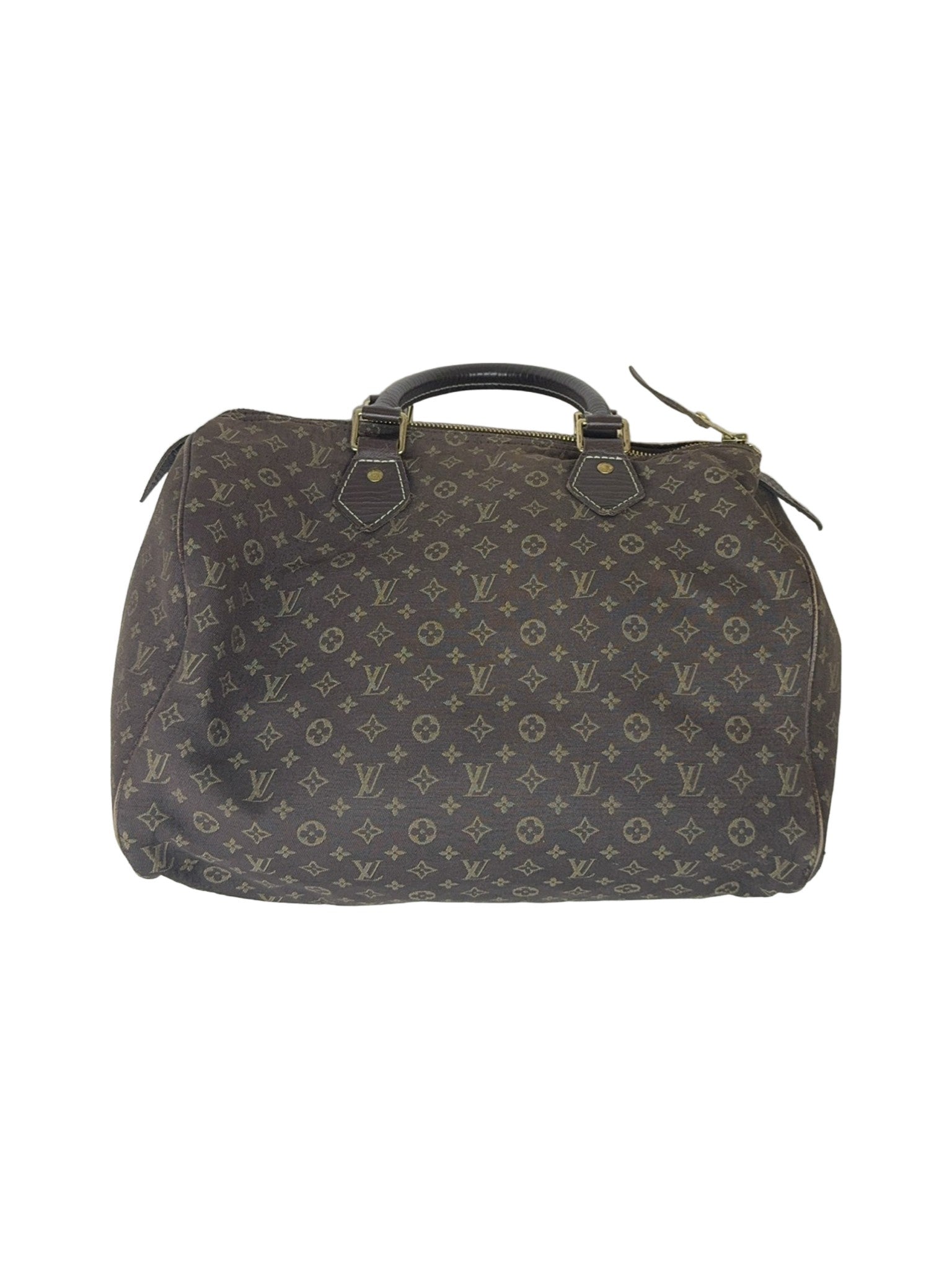 Louis Vuitton Canvas Brown Handbag